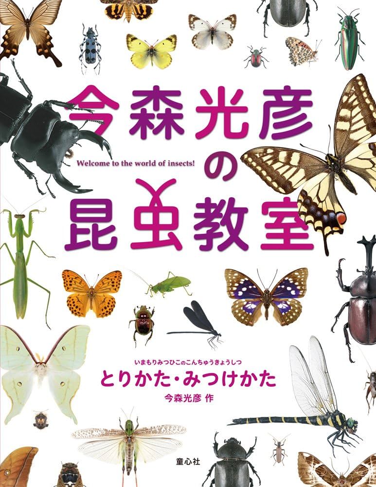 今森光彦の昆虫教室 とりかた・みつけかた | 今森 光彦 |本
